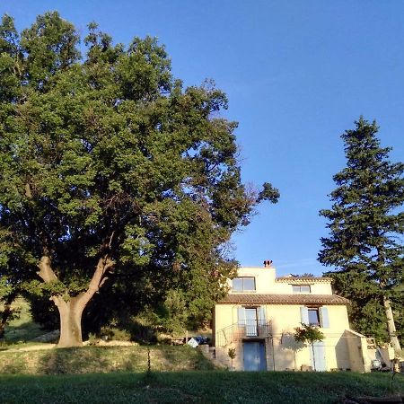 Maison D'Hotes Du Grand Chene Valensole Luaran gambar