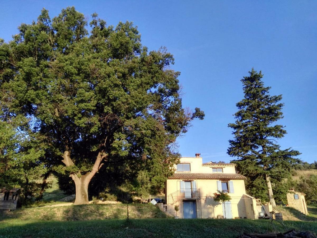Maison D'Hotes Du Grand Chene Valensole Luaran gambar
