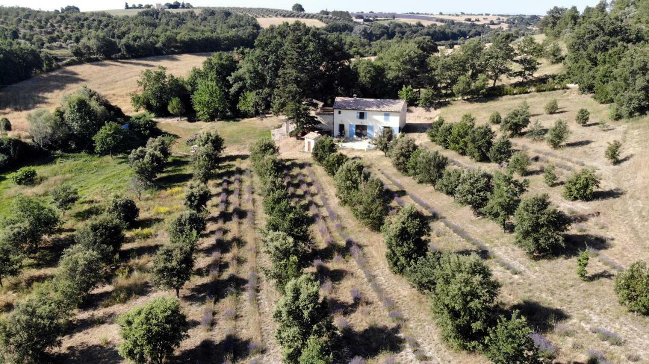 Maison D'Hotes Du Grand Chene Valensole Luaran gambar